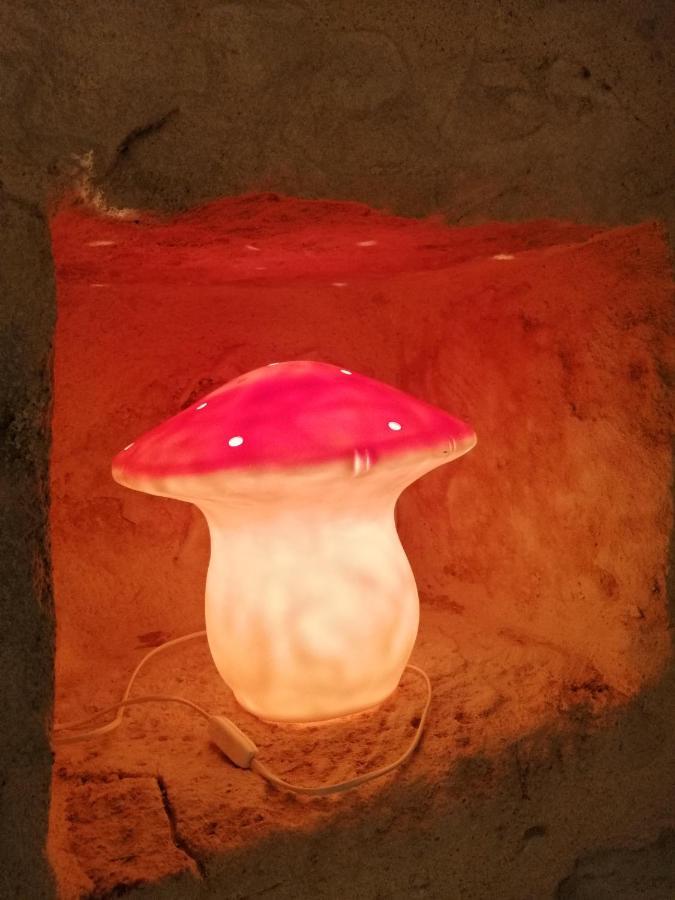Le Refuge De La Sallee Gençay Kültér fotó